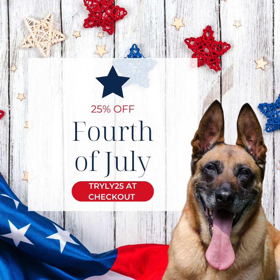 https://stratus.campaign-image.com/images/1020241000012910112_zc_v1_1720049640098_4th_of_july_sale_email.jpg