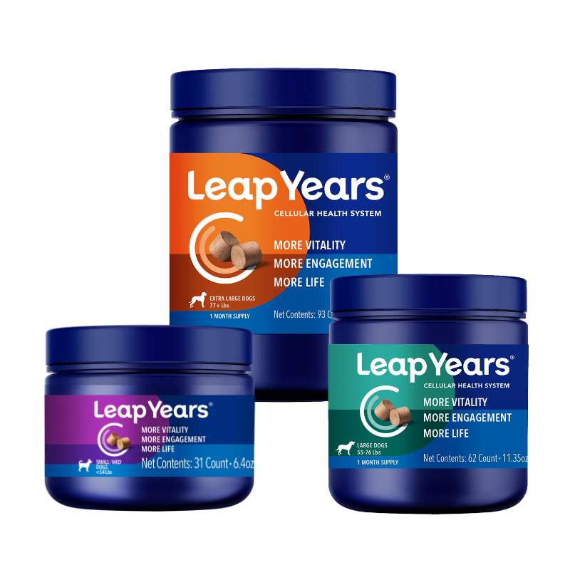 Leap Years Cellular Health System