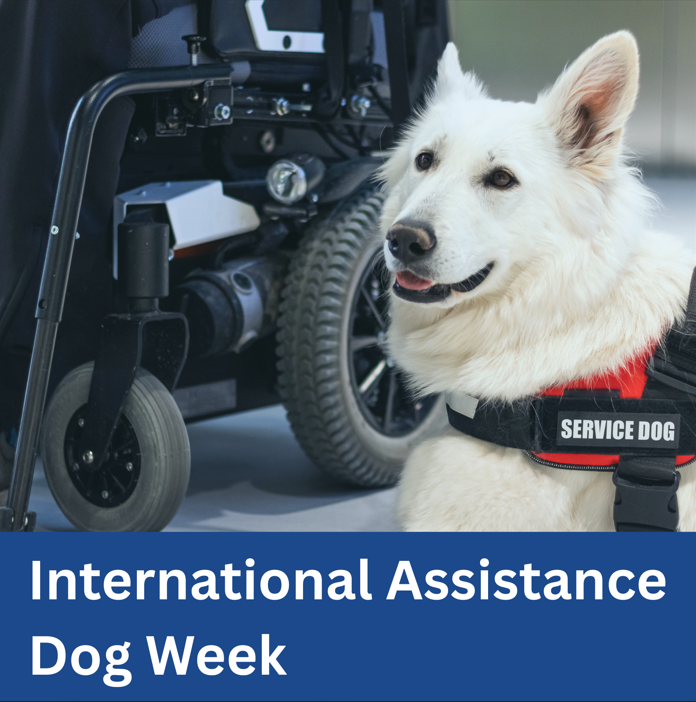 International Assistance Dog Week