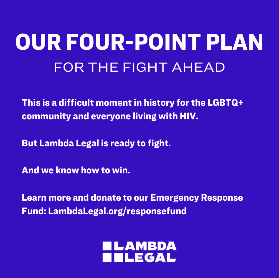 https://stratus.campaign-image.com/images/1056602000030333894_zc_v1_1734619326457_lambdalegalad_(1).png