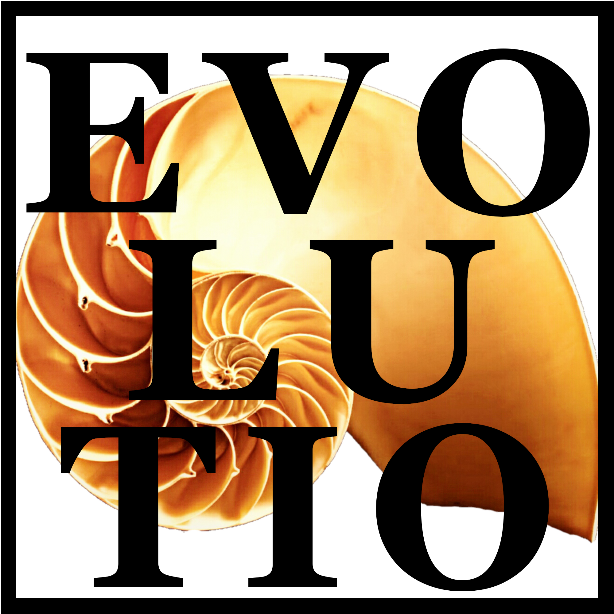 https://stratus.campaign-image.com/images/1062284000000459132_zc_v8_1677505903037_evolutio3.png