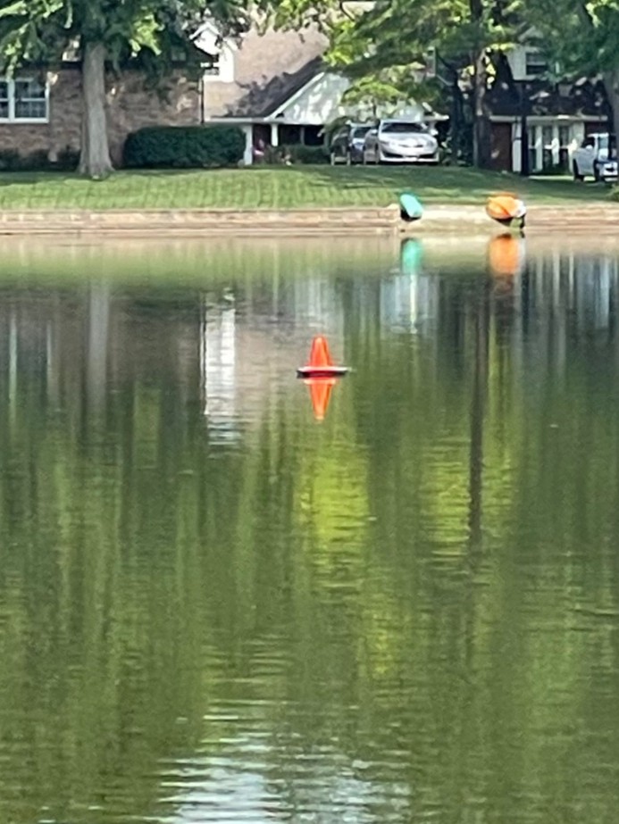 Sonar in the water