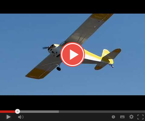 Bellanca_Champ