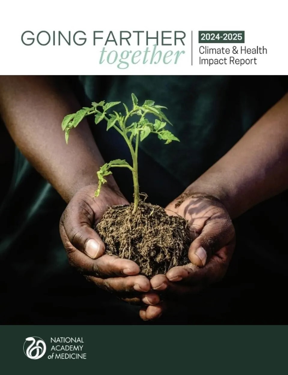 Front cover of the book titled Happier Longevity. The cover features a large, detailed yellow sunflower filling the upper portion, with green leaves below. The background is light and warm-toned. Text on the cover includes the subtitle &ldquo;A joyful approach to deep health and weight loss&rdquo; and the authors&rsquo; names, Anne Jirsch and Tricia Miller.