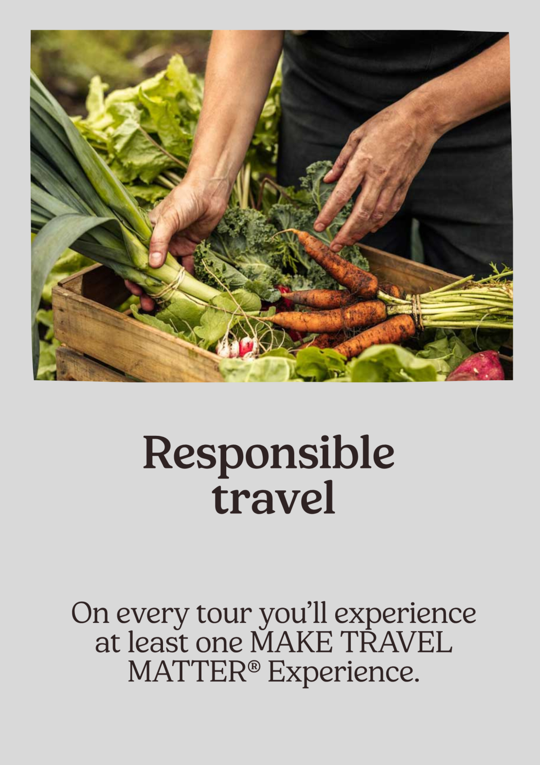 https://stratus.campaign-image.com/images/1199805000033997004_zc_v1_1753148931364_responsible_travel.jpg