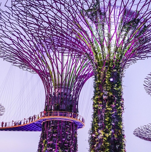 https://stratus.campaign-image.com/images/1199805000035292004_zc_v1_1755603005643_singapore.jpg