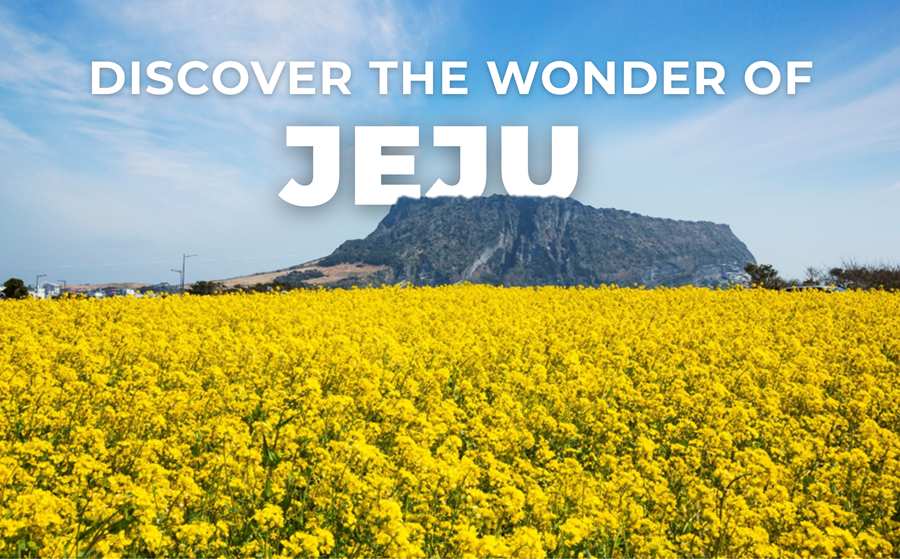 https://stratus.campaign-image.com/images/1199805000055940003_zc_v1_1777978502086_jeju.png