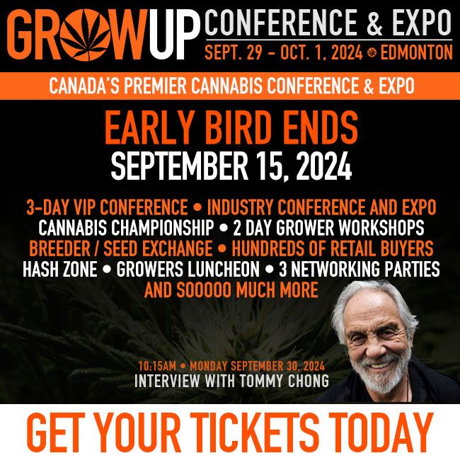 https://stratus.campaign-image.com/images/1213763000003654477_zc_v1_1725642667530_tommy_talk_growup_68a_600x400.jpg