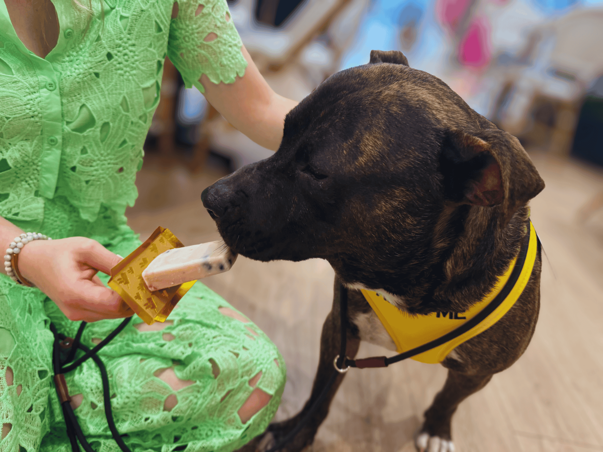 A brindle dog enjoying his ice cream treat