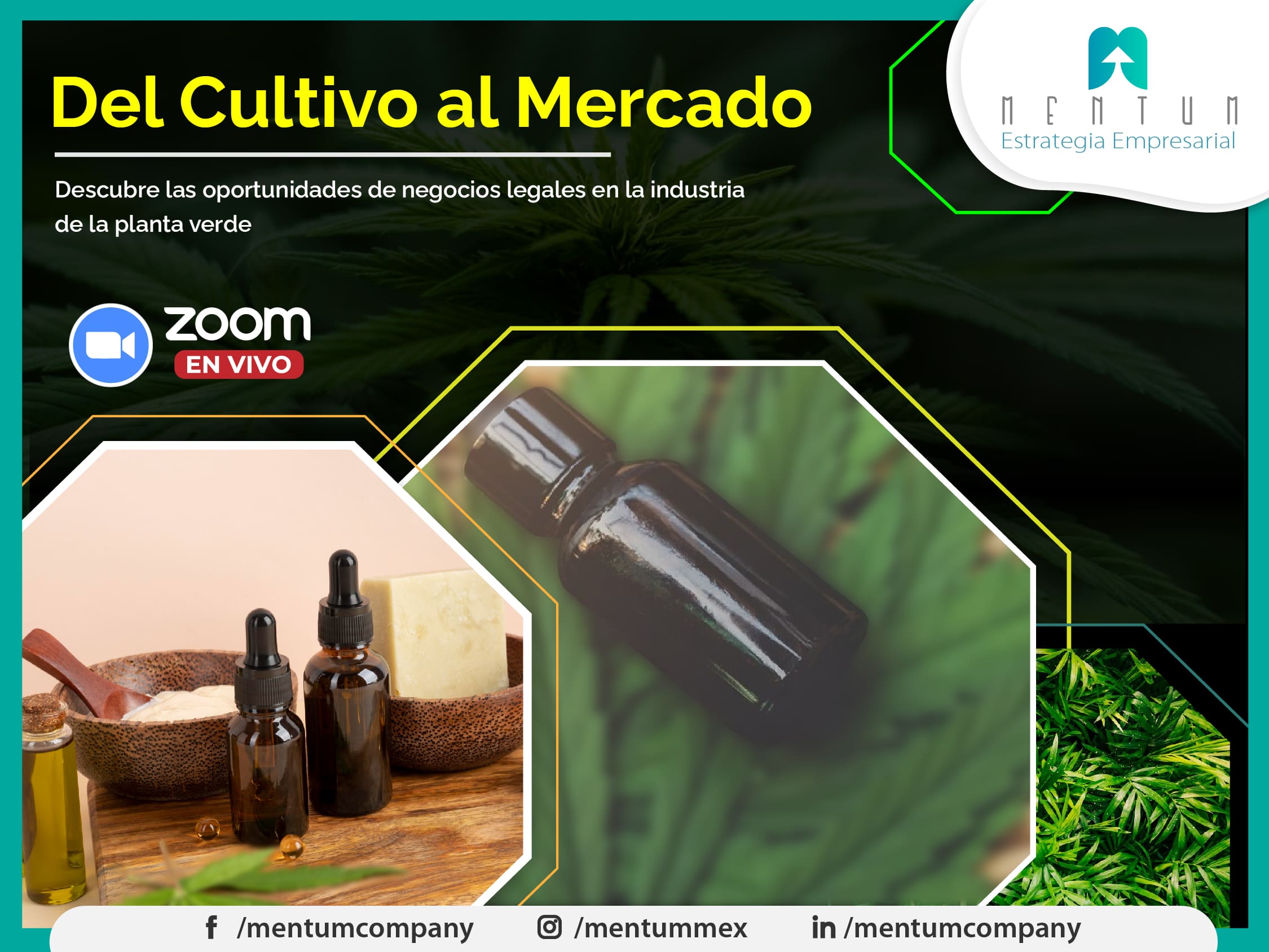 https://stratus.campaign-image.com/images/1299610000143125385_zc_v1_1720562768192_buro5.jpg