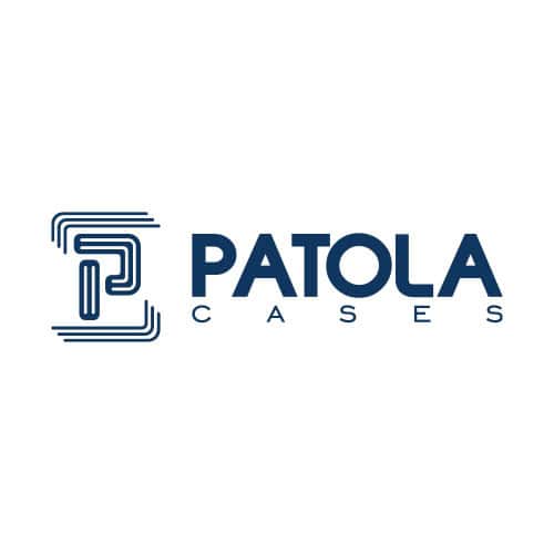 Patola Cases