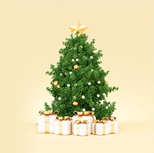 https://stratus.campaign-image.com/images/1347832000009493004_zc_v1_1765980829492_arvore_natal.jpg