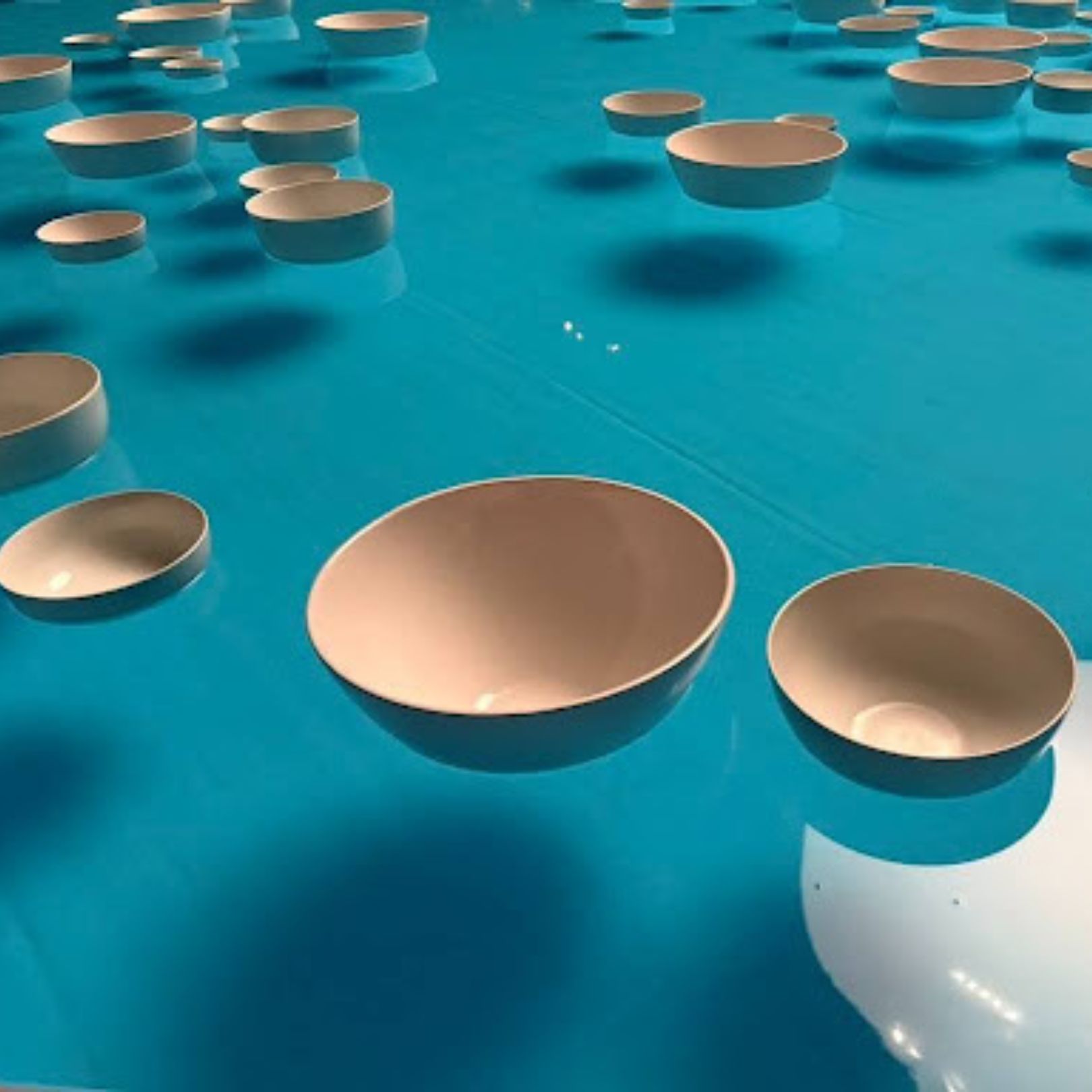 Multiple white bowls floating around in water.