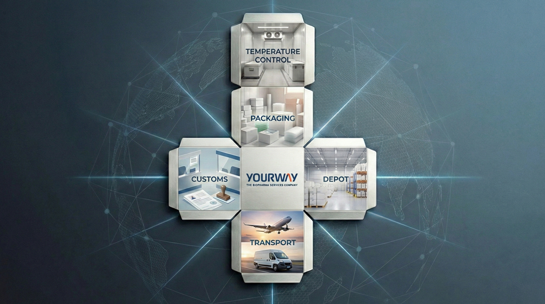 Cross-shaped graphic showing Yourway services including temperature control, packaging, customs, depot, and transport, illustrating fully integrated clinical supply chain support.