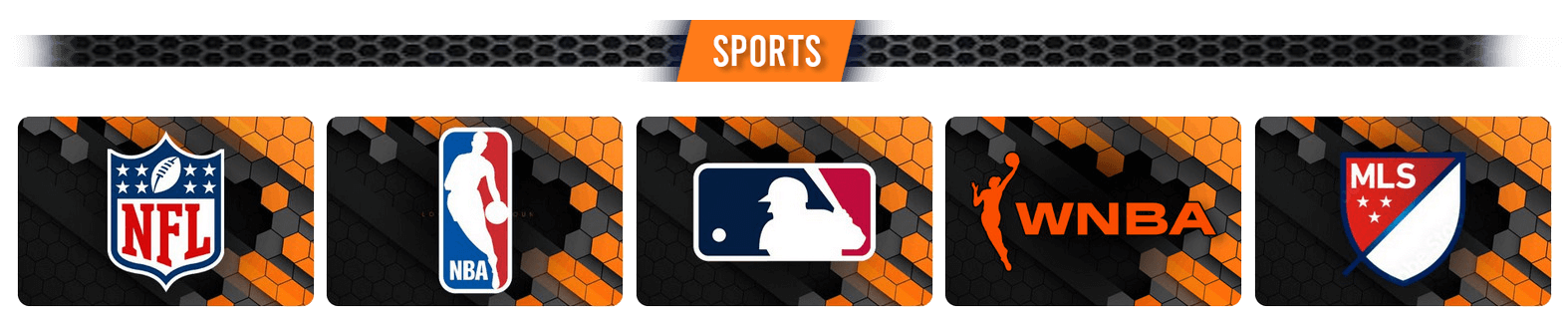 https://stratus.campaign-image.com/images/1446331000013003006_zc_v1_1753377500620_sports_league(1).png