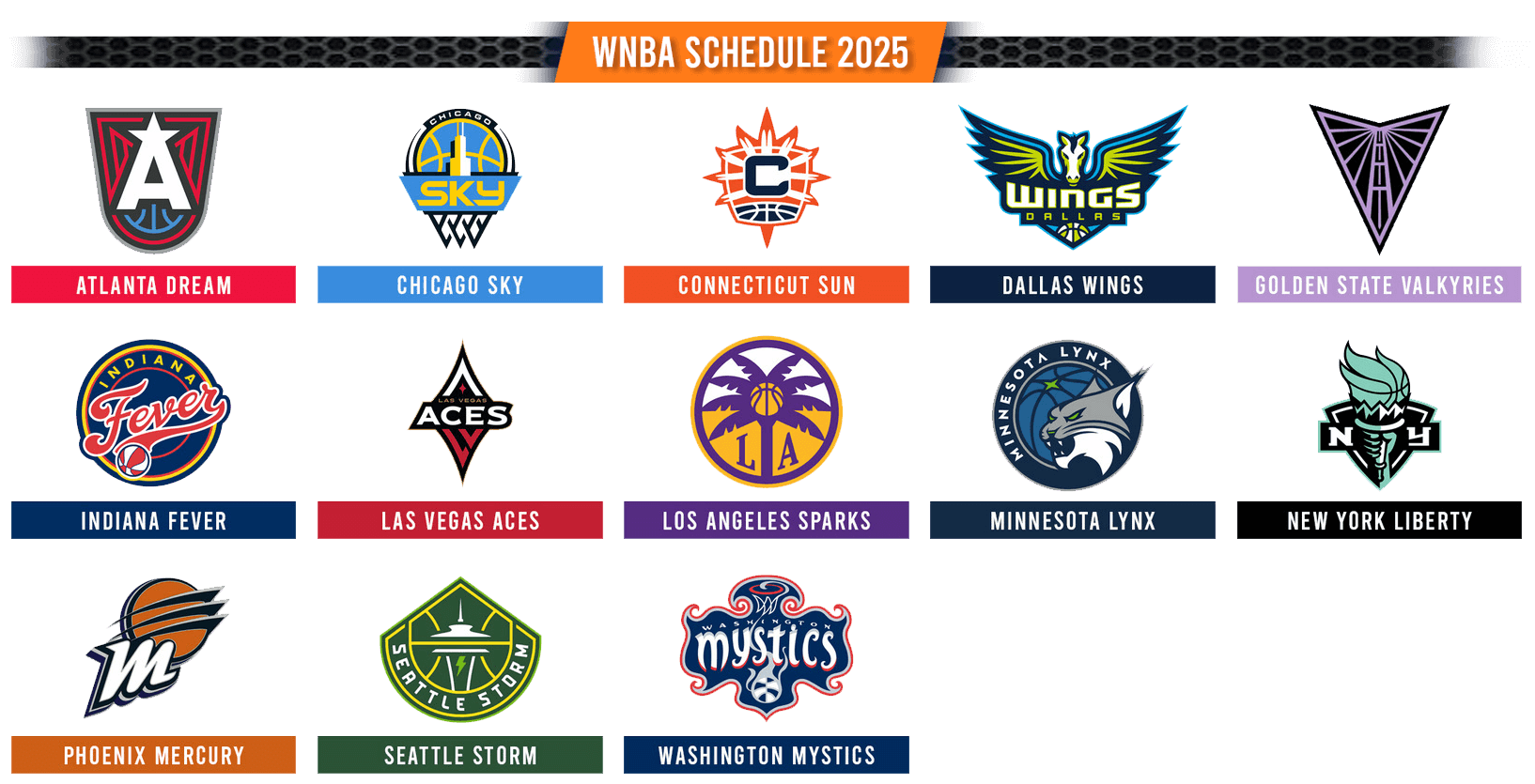 https://stratus.campaign-image.com/images/1446331000013003006_zc_v1_1753379951087_wnba(2).png