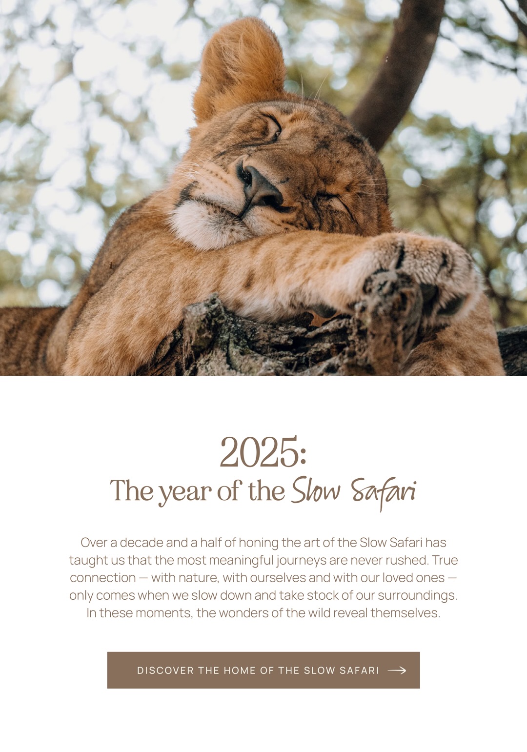 Discover the home of the Slow Safari