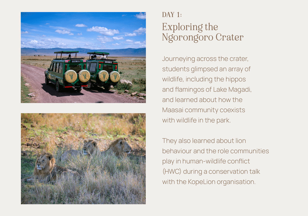 Exploring the Ngorongoro Crater