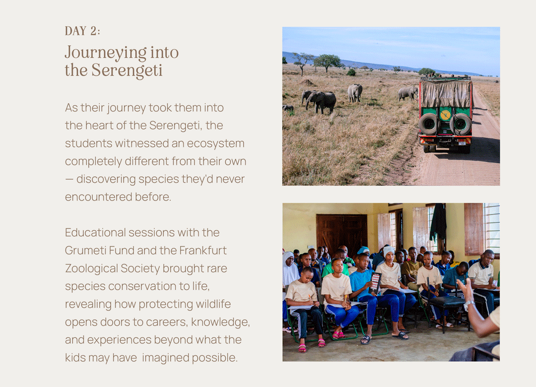 Journeying into the Serengeti