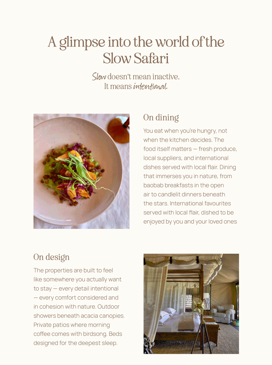 A glimpse into the world of the Slow Safari