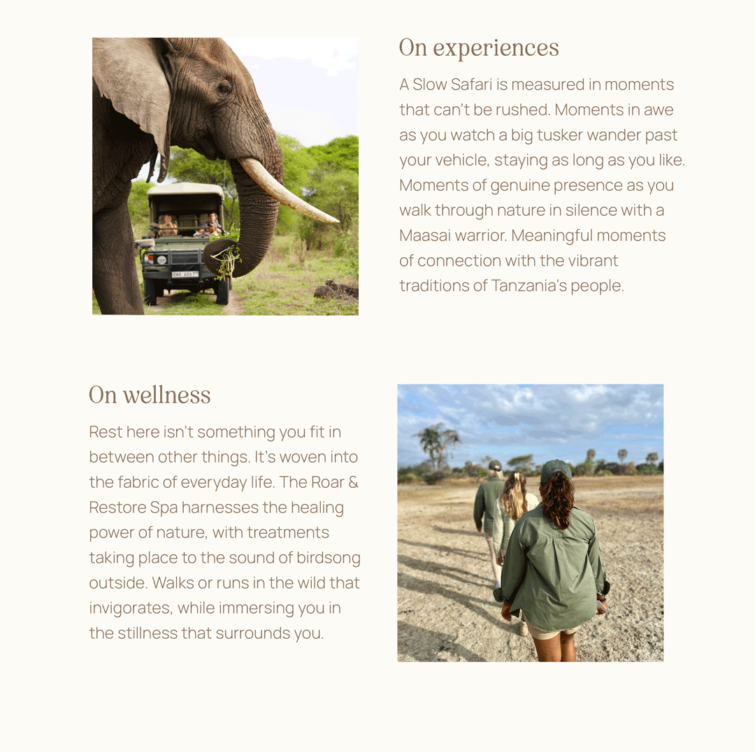 A glimpse into the world of Slow Safari