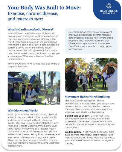 Exercise Handout