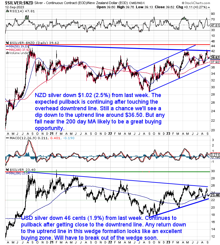 NZ Dollar Silver Chart