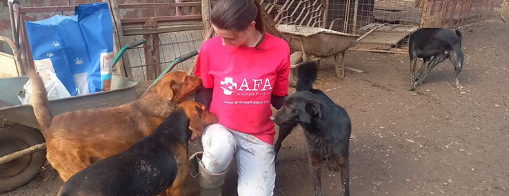 https://www.animalsfirstaid.org/thumbnail/jelena2_5.jpg