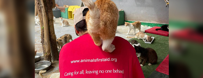 https://www.animalsfirstaid.org/thumbnail/ycsma_5.jpg