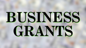 https://stratus.campaign-image.com/images/172295617814215_business-grants-available_zc_v1_15_13898000036066006.png