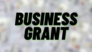 https://stratus.campaign-image.com/images/172730256181113_business-grant-300x169_zc_v1_13_13898000037159006.png