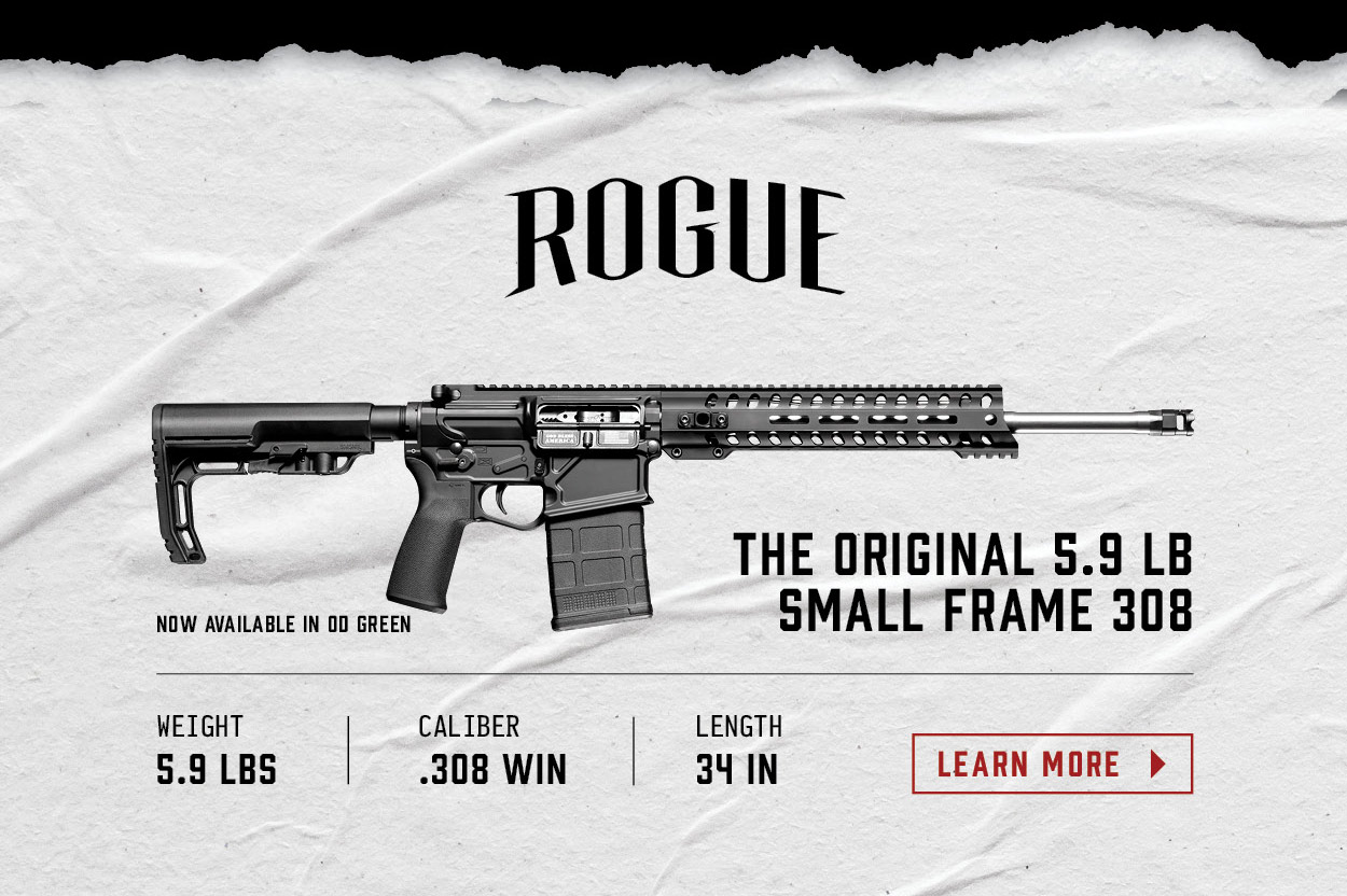 ROGUE - the 308 AR-15