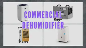 https://stratus.campaign-image.com/images/17400740118058_commercial-dehumidifier-3_zc_v1_8_13898000040290006.png