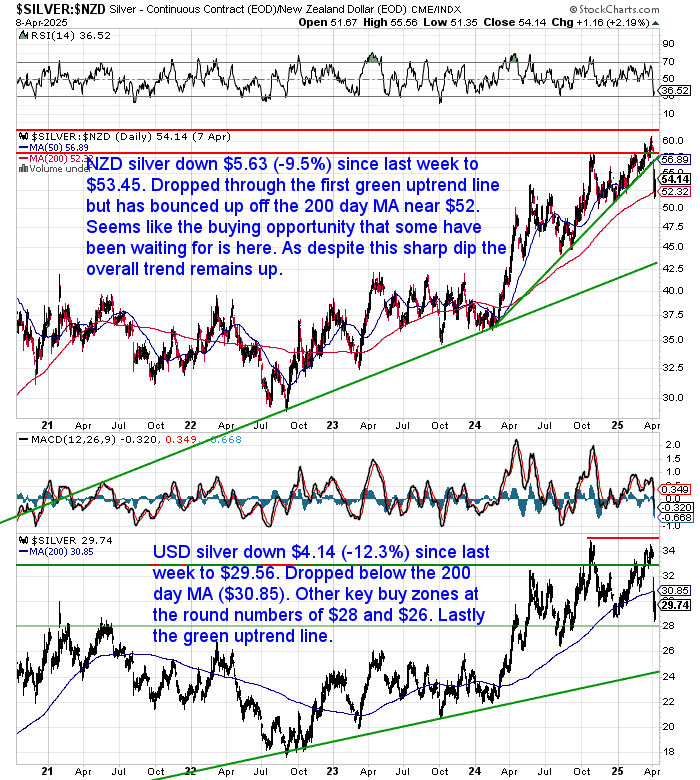 NZ Dollar Silver Chart NZ Dollar Silver Chart