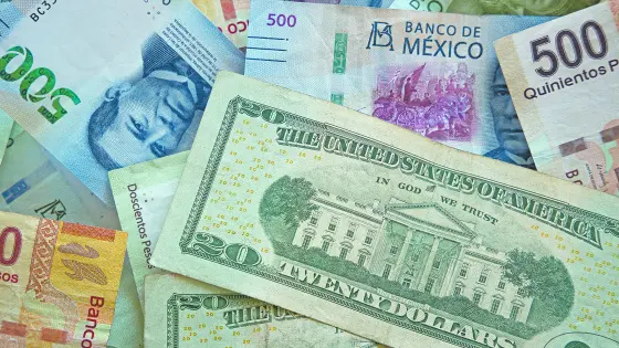 El Economista