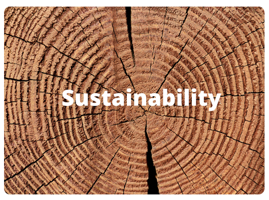 Rings of a tree trunk &mdash; illustrating longevity, layers, and growth over time.