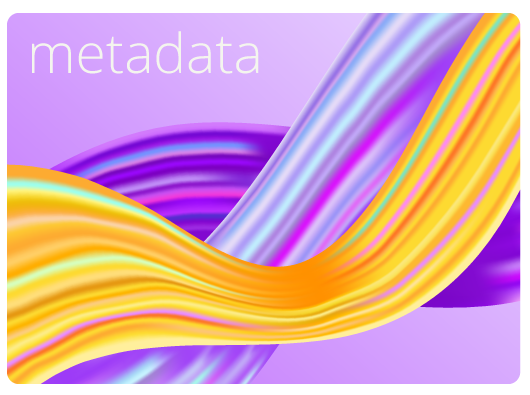 decorative image of weaving lines and the word metadata