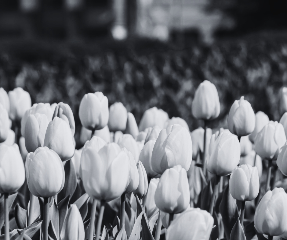 Printemps