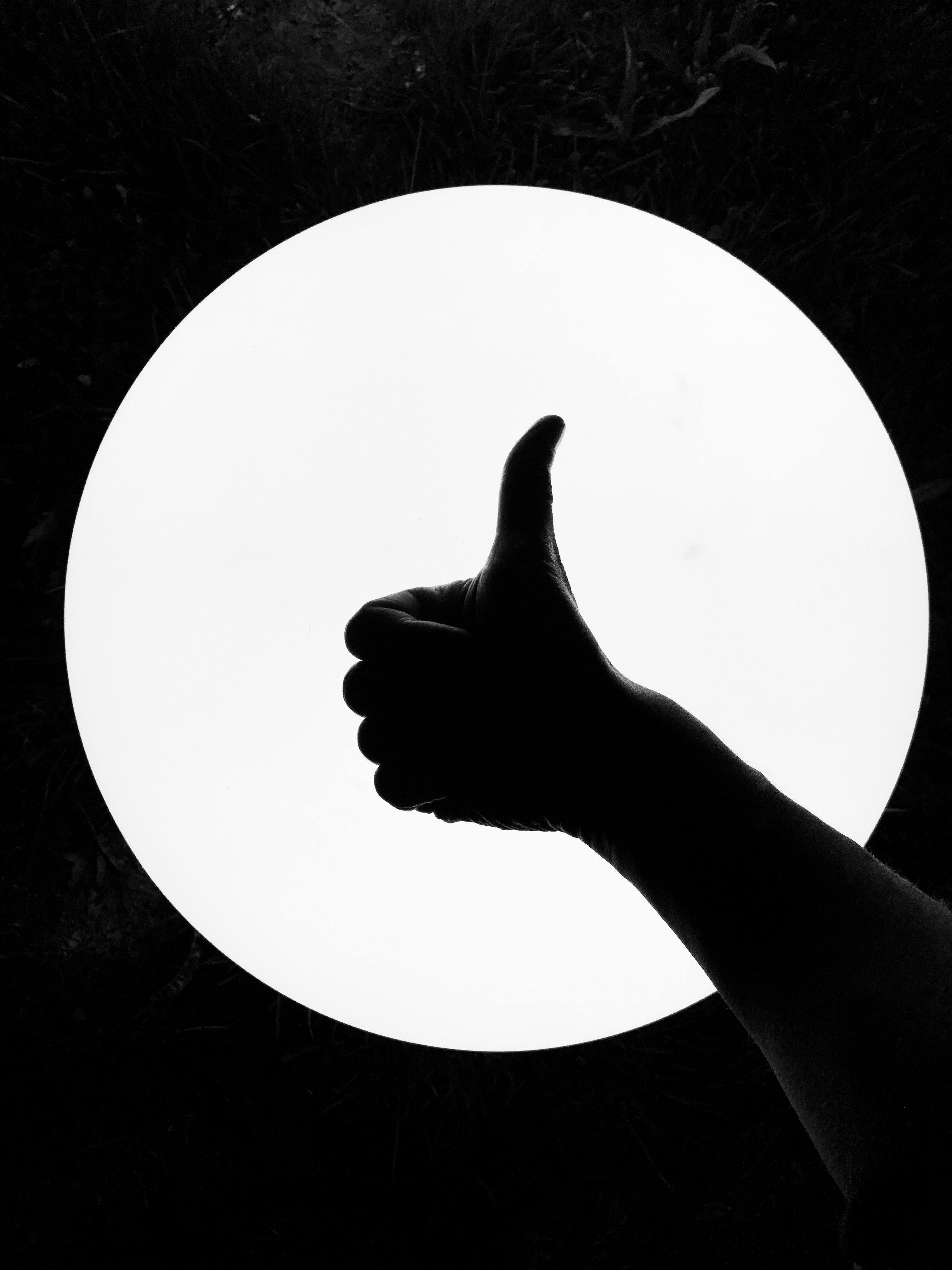 Photo by Jan Antonin Kolar on Unsplash