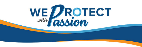 Momentum Factor - We Protect With Passion