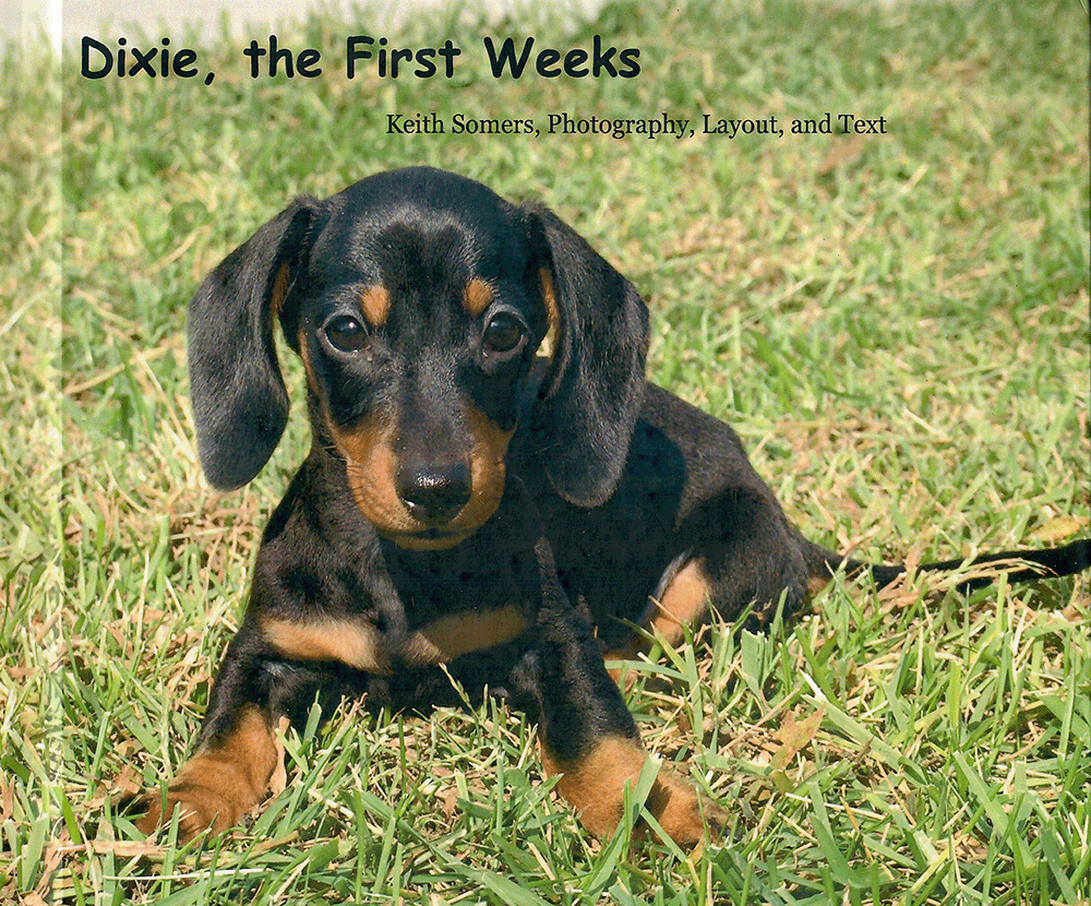 Dixie the First Weeks
