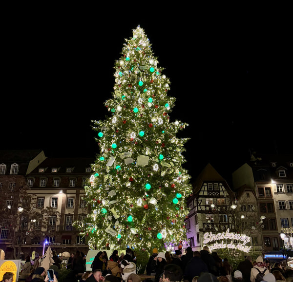 https://stratus.campaign-image.com/images/527028000010475004_zc_v1_1738002652168_strasbourg___france_(3).jpg