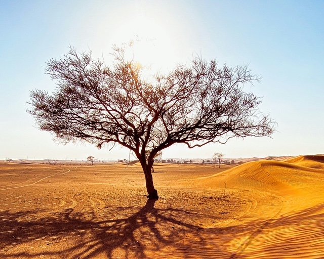 https://stratus.campaign-image.com/images/528116000161214004_zc_v1_1782836103099_rootsofhope.jpg