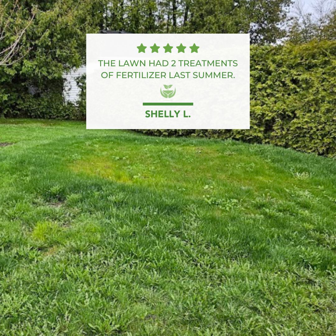 Shelly Google Review