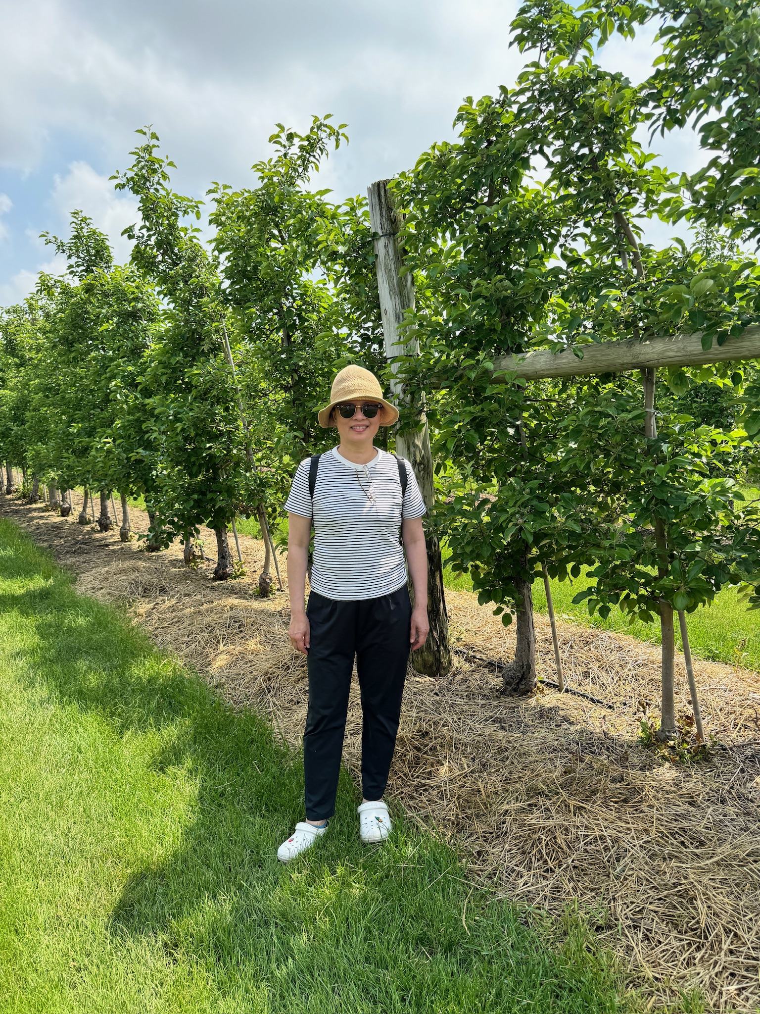 Chudleigh Apple Farm visit