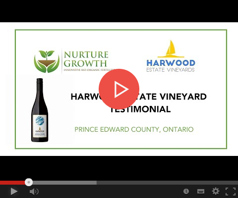 Harwood-Review