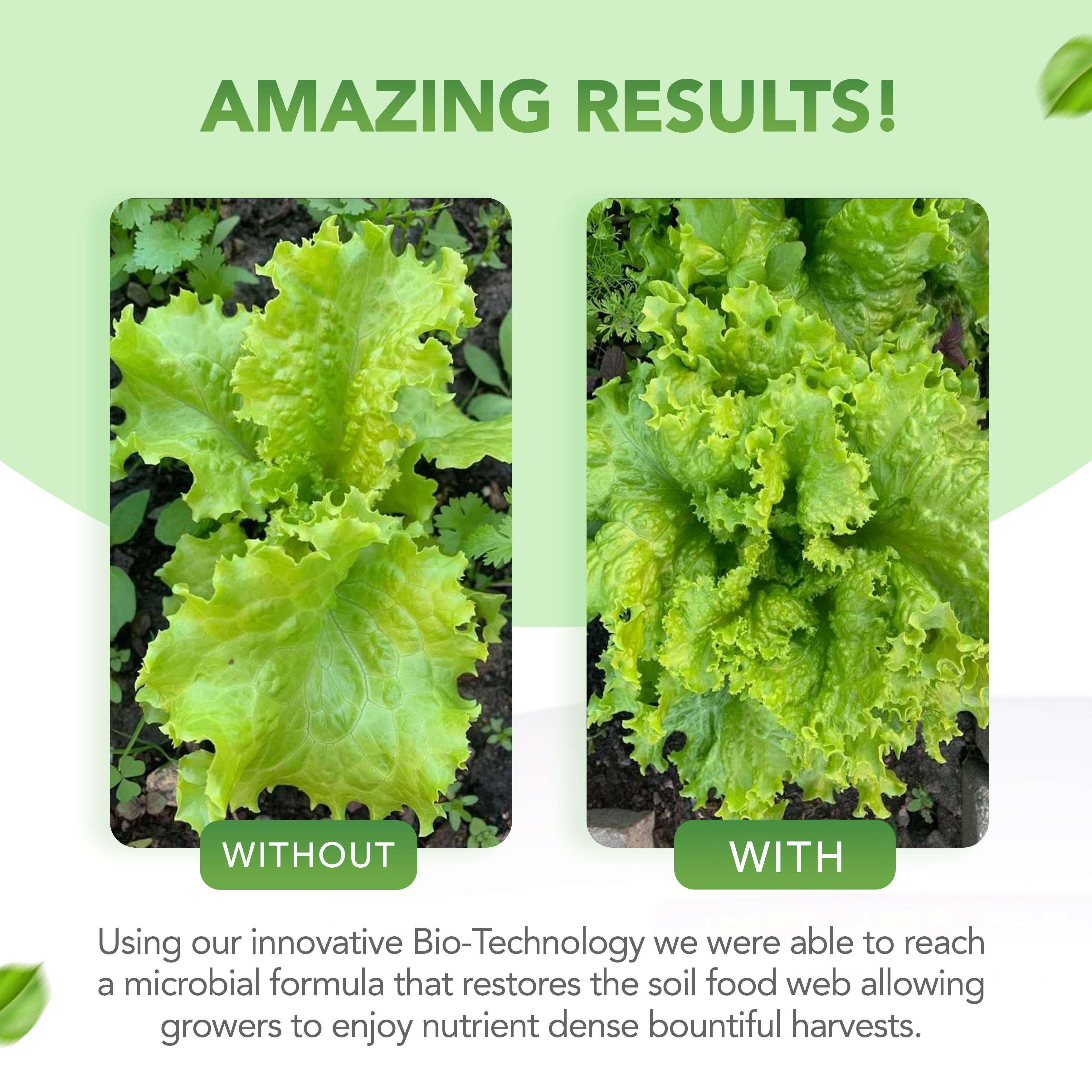 All Purpose Organic Biofertilizer