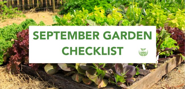 September Garden Checklist banner