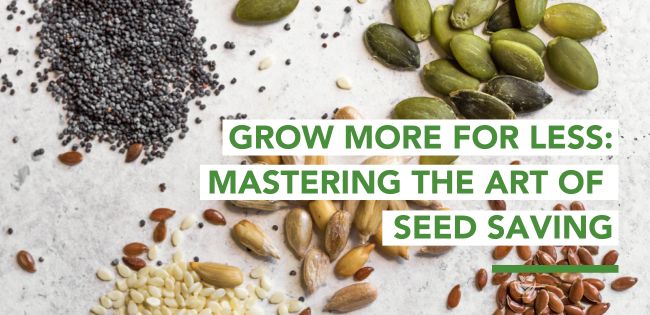 Growing Peppers Tips for your Garden