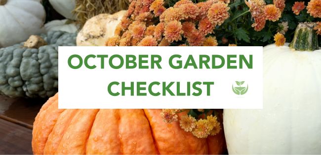 October Garden Checklist banner